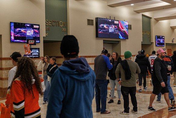 031125_ANAHEIM_DUCKS_0900