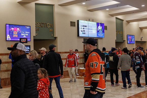 031125_ANAHEIM_DUCKS_0771