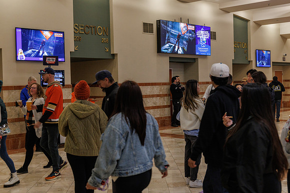 031125_ANAHEIM_DUCKS_0868