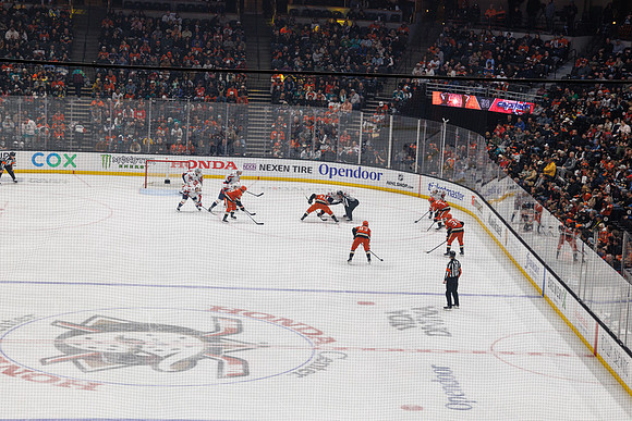 031125_ANAHEIM_DUCKS_1536