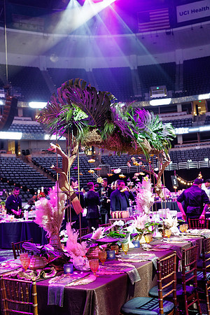 020625_ANAHEIM_DUCKS_166