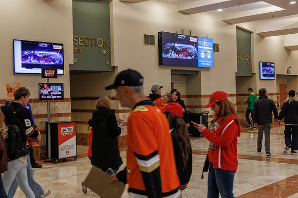 031125_ANAHEIM_DUCKS_0883