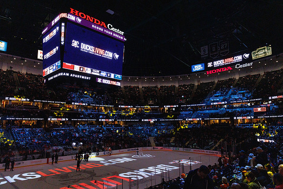 031125_ANAHEIM_DUCKS_1185