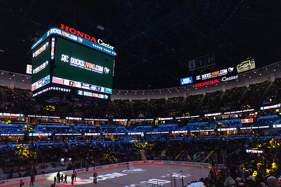 031125_ANAHEIM_DUCKS_1180