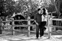 071015_DURAN_0160