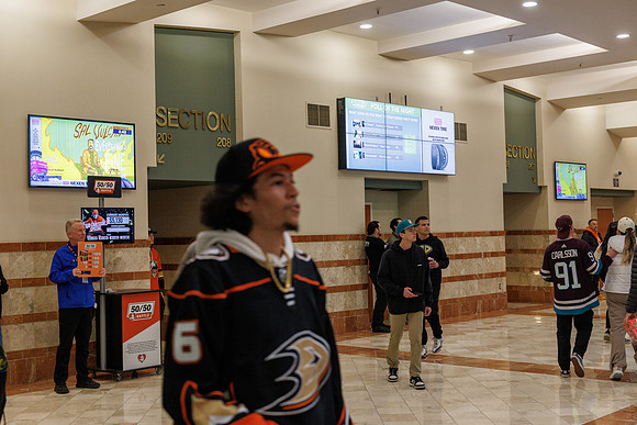 031125_ANAHEIM_DUCKS_0760
