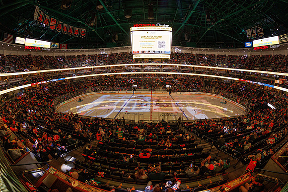 101624_ANAHEIM_DUCKS_1035