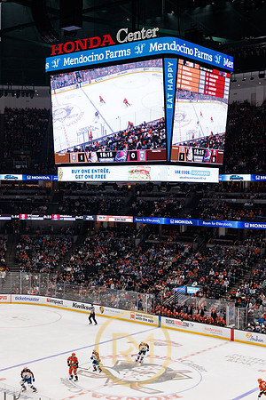041325_ANAHEIM_DUCKS_186