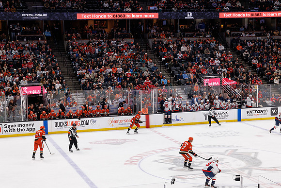 031125_ANAHEIM_DUCKS_1040