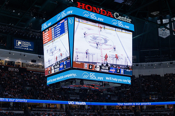 031125_ANAHEIM_DUCKS_1266