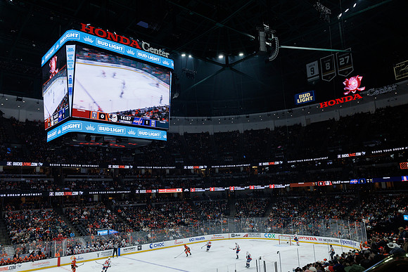 031125_ANAHEIM_DUCKS_0988