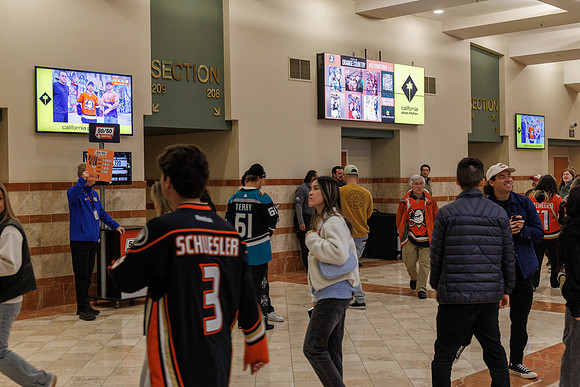 031125_ANAHEIM_DUCKS_0850