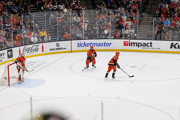 031125_ANAHEIM_DUCKS_1106