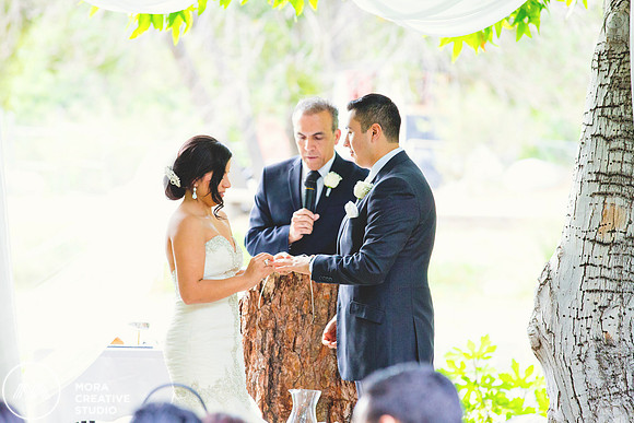 WEDDING_062715_0311