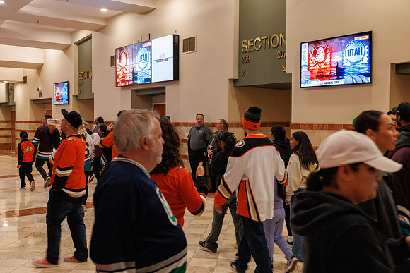 101624_ANAHEIM_DUCKS_0231