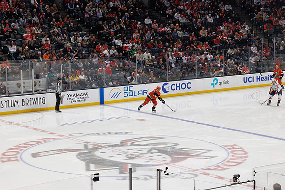 031125_ANAHEIM_DUCKS_1205