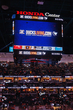 101624_ANAHEIM_DUCKS_0547
