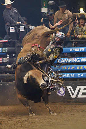 090525_HONDA_CENTER_008