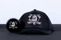 091125_ANAHEIM_DUCKS_005