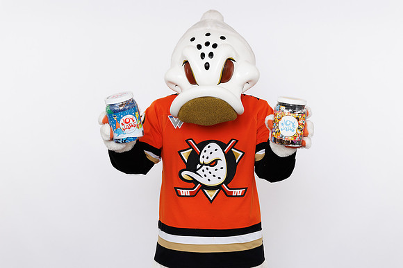 091125_ANAHEIM_DUCKS_248