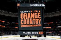 091325_ANAHEIM_DUCKS_005