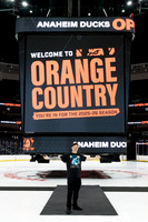 091325_ANAHEIM_DUCKS_017
