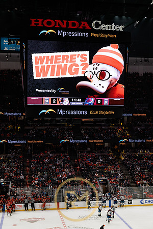 041325_ANAHEIM_DUCKS_376