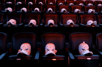 101425_ANAHEIM_DUCKS_007