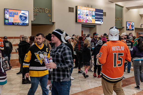 101425_ANAHEIM_DUCKS_241
