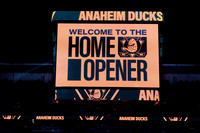 101425_ANAHEIM_DUCKS_282