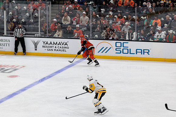 101425_ANAHEIM_DUCKS_293