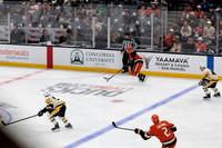 101425_ANAHEIM_DUCKS_295