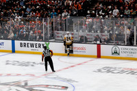 101425_ANAHEIM_DUCKS_300