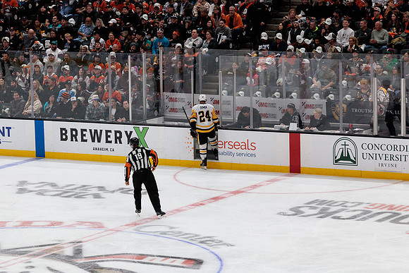 101425_ANAHEIM_DUCKS_300