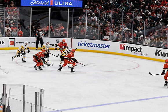 101425_ANAHEIM_DUCKS_309