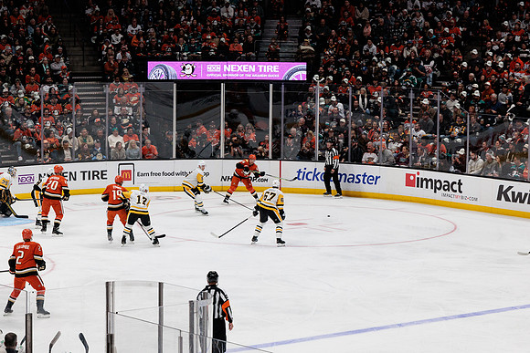 101425_ANAHEIM_DUCKS_312