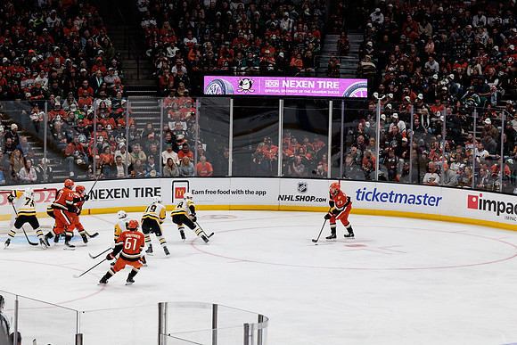 101425_ANAHEIM_DUCKS_324