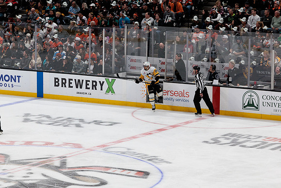 101425_ANAHEIM_DUCKS_327