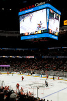 101425_ANAHEIM_DUCKS_328