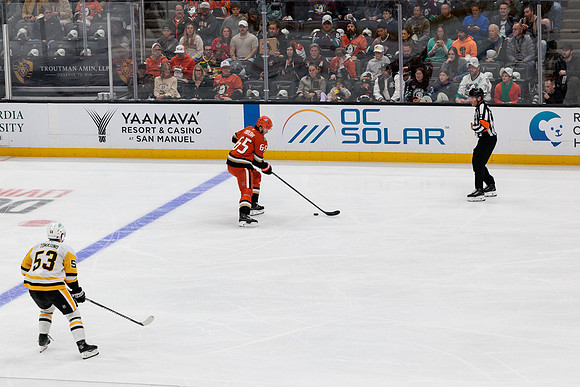 101425_ANAHEIM_DUCKS_348