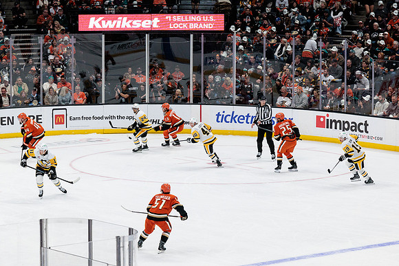 101425_ANAHEIM_DUCKS_350