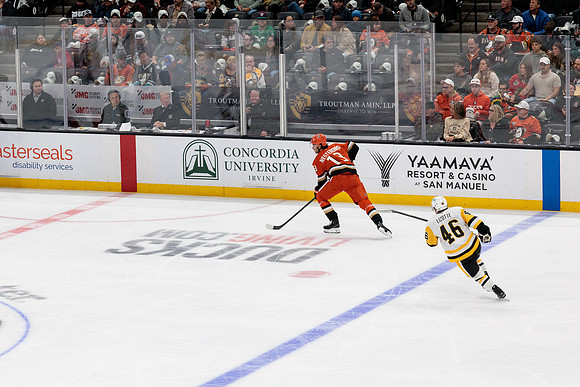101425_ANAHEIM_DUCKS_351