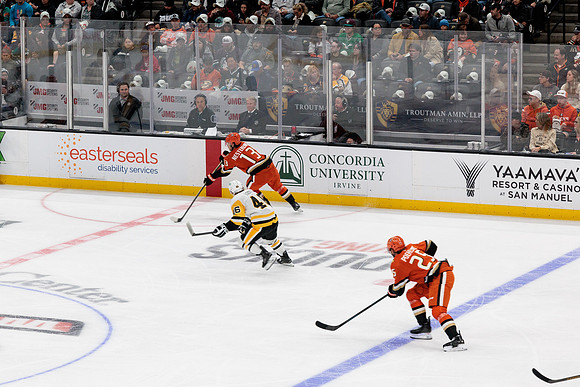 101425_ANAHEIM_DUCKS_352