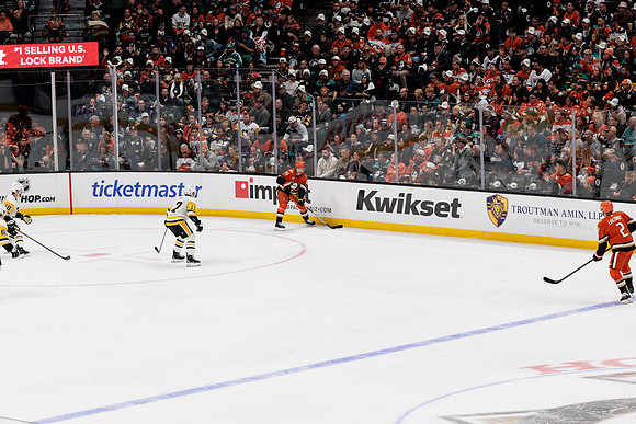 101425_ANAHEIM_DUCKS_369