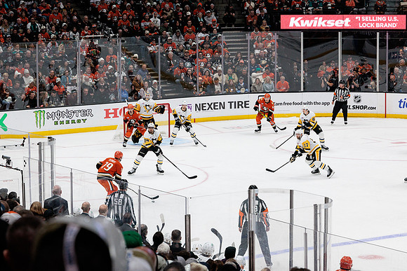 101425_ANAHEIM_DUCKS_375