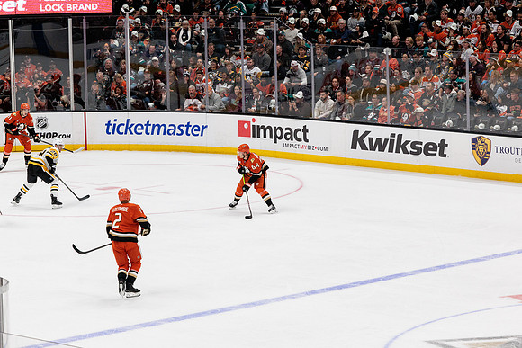101425_ANAHEIM_DUCKS_381