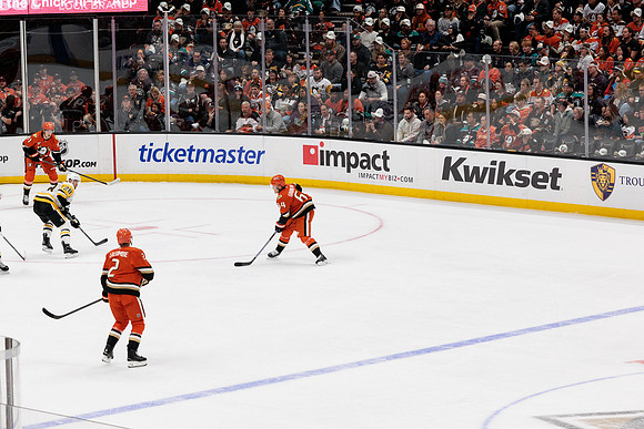 101425_ANAHEIM_DUCKS_382