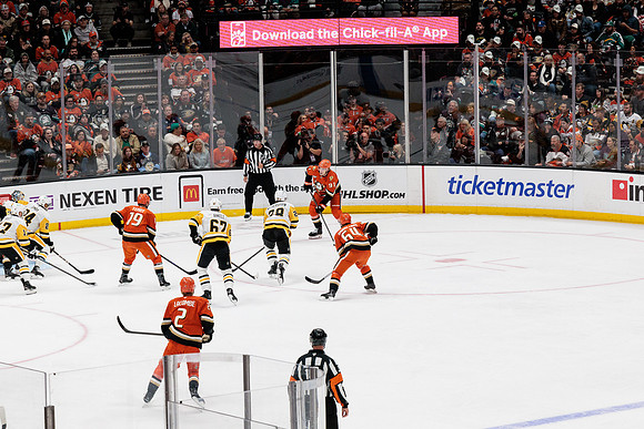101425_ANAHEIM_DUCKS_383