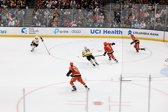 101425_ANAHEIM_DUCKS_484