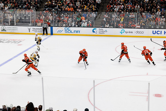 101425_ANAHEIM_DUCKS_486